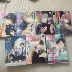 誰か夢だと言ってくれ 全巻セット BL 漫画 ボーイズラブ 誰夢 みっしぇる