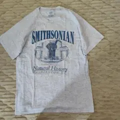 ヘインズ　半袖Tシャツ　グレー　スミソニアン博物館　Мサイズ　古着