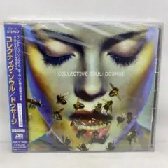 K6 未開封 コレクティヴ・ソウル/ドウセージ