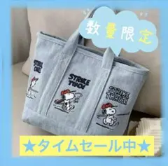【新品】スヌーピー　デニムトートバッグ　ミニバック　刺繍トート SNOOPY