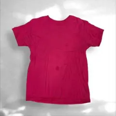U-227 USA古着 FRUIT OF THE LOOM Tシャツ 半袖 M
