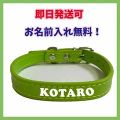 Item thumbnail for item f8577dda-3122-4aa3-9435-189a5dd070ca