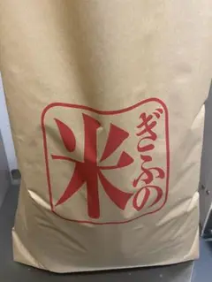 か*う様 定額出品限定数1 スーパーS等級プレミアム米揖斐頂き米 ハツシモ大容量 2025年最新】Hatsushimoの人気アイテム - メルカリ