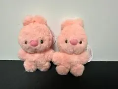 ぽむぽむ　POMPOM　マスコットBC　ぽむらび ２点セット