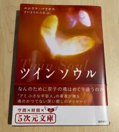 ツインソウル : なんのために双子の魂はめぐり逢うのか