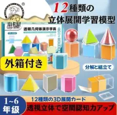 立体展開模型 12種 知育 算数 図形 空間認知 受験対策 未就学児 家庭学習