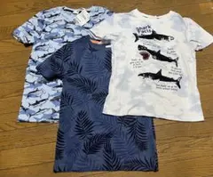 シャークプリントTシャツ3枚セット