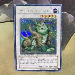 ナチュルビースト ウルトラ DT