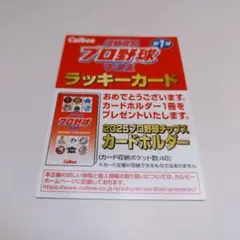 カルビー プロ野球チップス ラッキーカード