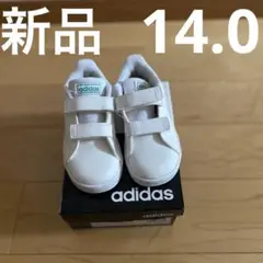 Item thumbnail for item 7a83d154-e423-4629-bb8e-f6b44b95c819