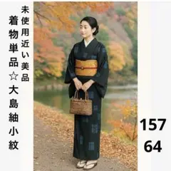 未使用近い 美品 大島紬 小紋 青み黒 袷 正絹 着物単品