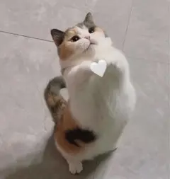 あるさん専用ページ