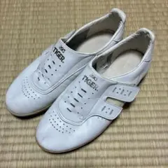 アシックスタイガー　アフターランナー　27cm