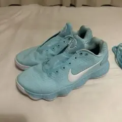 Nike Hyperdunk 2017 Low Tiffany