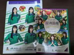 乃木坂46 JA 農協 ノート クリアファイル