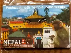 Item thumbnail for item 043de2be-be87-42bc-9ca8-b056eb859352