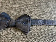 Item thumbnail for item 7bb63d53-4ab3-4a79-935d-1616b3b44468
