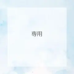 専用