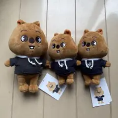 じゅんのすけさん専用