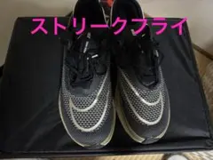Nike ZoomX　ストリークフライ　25.5cm