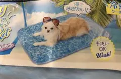 ペティオ 犬猫用毛布 ひんやり大きめサマーケットＨＮＹ オーシャン レギュラー