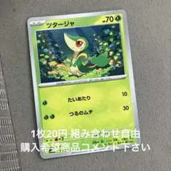ツタージャ　在庫2