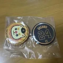 ジャイアンツ 大城卓三 オオシーサー 缶バッジ エニマイくじ