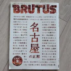 名古屋の正解　ブルータス２０１９年７月号