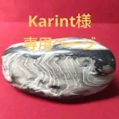 鳥海山神代杉、珪化木、管理No.41231