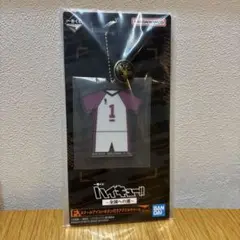 ハイキュー!! アクリルキーホルダー 1番