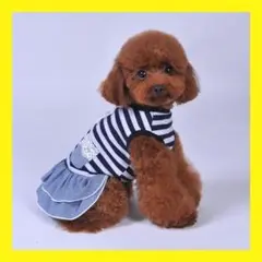 Item thumbnail for item 2072ebe2-6e4d-42d6-b592-90ba51d540cc