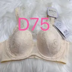 Item thumbnail for item 38f2b883-4efd-497e-b9d7-5957799c6d25