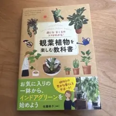 選び方・育て方のコツがわかる!観葉植物を楽しむ教科書