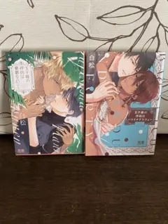 王子様の伴侶2冊セット 白松 花音コミックス