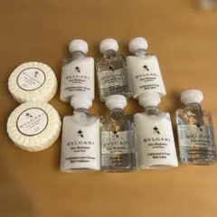 Item thumbnail for item 4ab46c45-d1e8-481b-b4f5-69a89ecabdc6