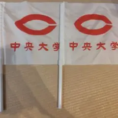 中央大学 応援旗 小型