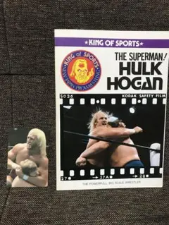 ハルクホーガン レア物 お宝セット WWE プロレス