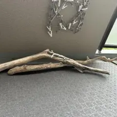 Item thumbnail for item 6c1d4770-d3e6-4871-a7eb-9fc01db8d872