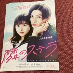 隣のステラ　フライヤー5枚