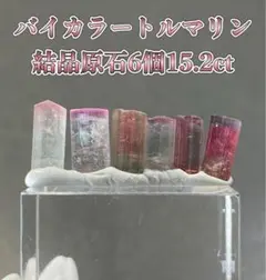 【心身のエネルギーを高める】天然石バイカラートルマリン結晶原石×6個15.2ct