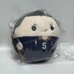 ハイキュー‼︎ ふわコロリン 田中龍之介