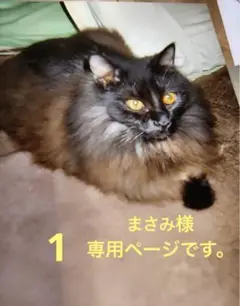 まさみ様　専用ページです。