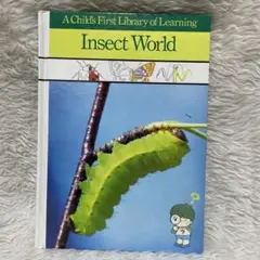 【英語】insect world 昆虫Q&A 英語バージョン