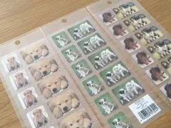 Item thumbnail for item 50fe092d-6d4a-4d89-a1ee-77ce633c82ef