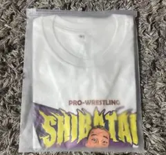 入手困難シバターTシャツXL