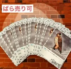 コナン TCG ワトソン C / 0436 B04039 23枚