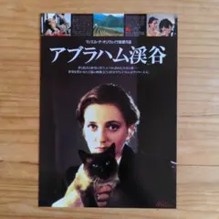 映画チラシ / フライヤー / アブラハム渓谷
