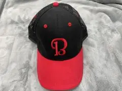 Item thumbnail for item dba84dcc-69ff-4571-b88c-68c49959db97