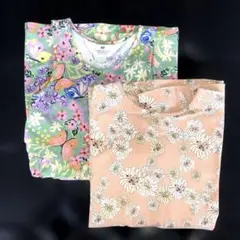 最終値下げ‼︎【UNIQLO×PAUL &JOE】【Ｈ＆Ｍ】110センチ2着セット