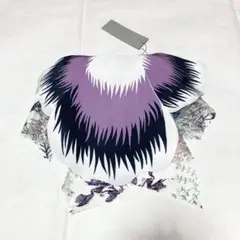 agris ハイカロリイオトメ　キルタンサス　帯飾り　the tail パンジー
